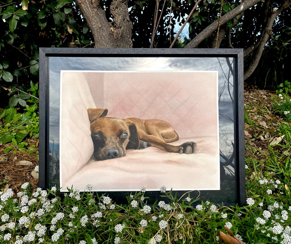 Large Custom Pet Portrait
